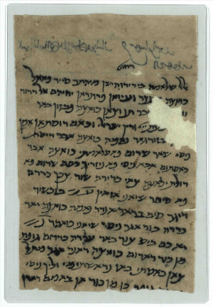 trove of ancient manuscripts in Hebrew characters rescued from caves ...