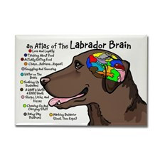 Chocolate Labrador Fridge Magnets