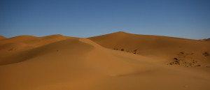 ... Hole In My Life Quotes. View Original . [Updated on 09/8/2014 at 06:09