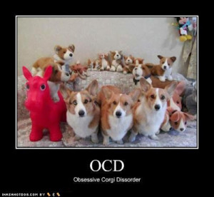 Funny Corgi Quotes Disorder - is it funny?
