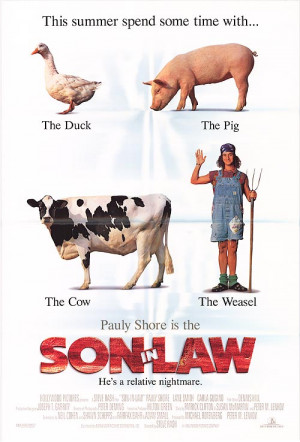 SON IN LAW POSTER ]