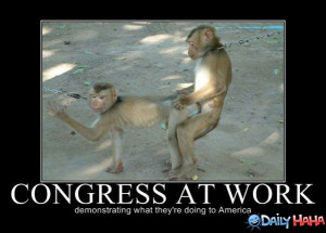 work humor funny pictures of animals congress at work humor cute ...