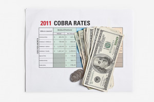 Cobra Insurance