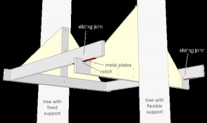 Tree Support Beams