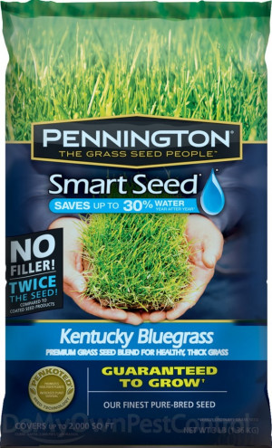 Pennington Smart Seed Kentucky Bluegrass Blend