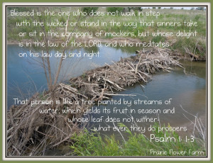 Fishing Bible Verses http://prairieflowerfarm.blogspot.com/2011/05 ...