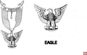 Boy Scouts America Scout Emblem Eagle Court Honor Bsa