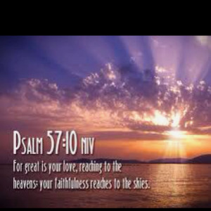 Pinned by Elizabeth Wright