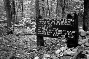 ... -content/uploads/2013/02/Thoreau-quote-in-the-woods-564×376.jpeg