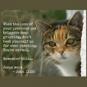 lost in tears when her cat fell ill and asked for prayer that she have ...