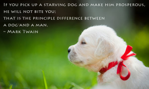Famous Dog Quotes Which Will Make You Fall In Love With Your Pet, All ...