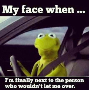 Even Frogs Love Kermit The Frog Humor Funny Pictures Add