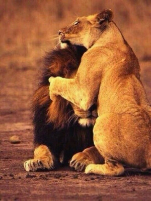 Every king needs his queen.