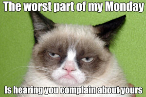 Top 20 Grumpy Cat Quotes – Hilarious and Funny