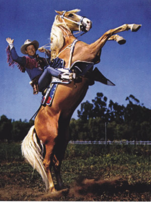 Details about ROY ROGERS PALOMINO TRIGGER HORSE REARING POSTCARD