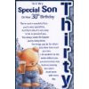Son`s 30th Birthday Card - 'To A Very Special Son on Your 30th ...