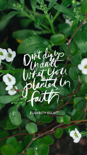 Don 39 t Doubt in Faith in You Dig Up What Planted