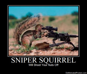Sniper Squirrel DeMotivated Poster