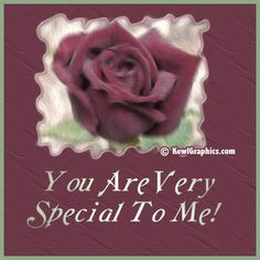 Rose You are very special to me Graphic plus many other high quality ...