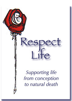 principle six star cutlery respect violence life program was respected