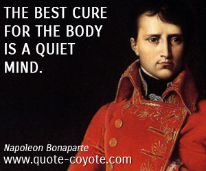 Body quotes - The best cure for the body is a quiet mind.