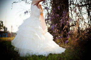 Public Domain Images - Bride White Wedding Dress Outdoors Green Grass ...