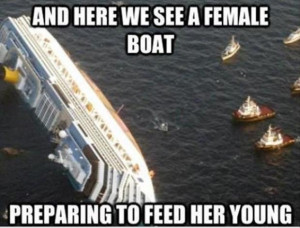 funny pictures, cruise ship wrecks