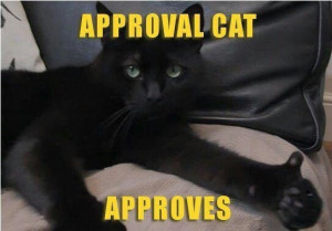 New cat meme!: Cat Quotes, Funny Cat, Crazy Cat, Approved Catapprov ...