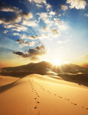 ... Beautiful Places , Pictures of the World,Sahara Desert , Sahara Sunset