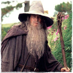 Gandalf Quotes A Wizard Is Never Late 
