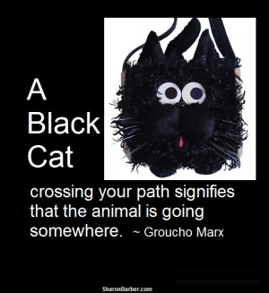 Related Pictures funny black cat groucho marx quote jpg