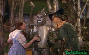 the amazing classic movie the wizard of oz tin man pictures if i only ...