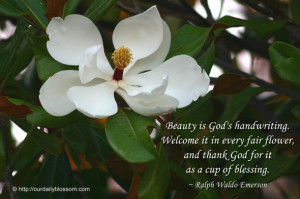 Spring is here. Inspiring quotes and beautiful flowers.