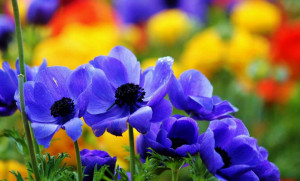 Already have an account? Log in now