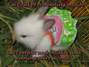 Charlie Sheen Quotes Presented By Cute Bunnies