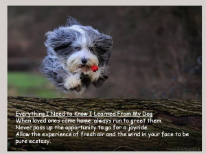 Dogs and People – Photos and Quotes for Dog Lovers, Part 1