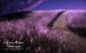 Nightsong Heartstone Journey