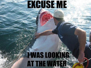 24 Funny Shark Week Pictures
