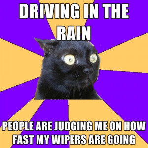 driving-in-the-rain-people-are-judging-me-on-how-fast-my-wipers-are ...