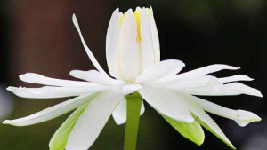 communication quotes group communication systems from great quotes ...