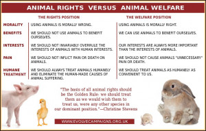 ... distinctions between the animal rights and animal welfare movements
