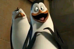 Excited-Kowalski-penguins-of-madagascar-9883299-480-320.jpg