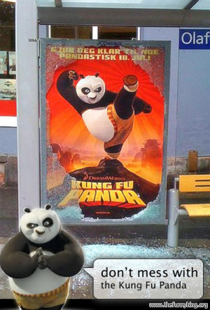 kung-fu-panda-buss-stop-glass-funny-dont-mess