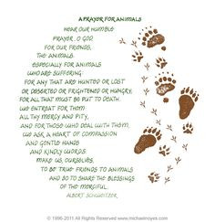 Prayer for Animals