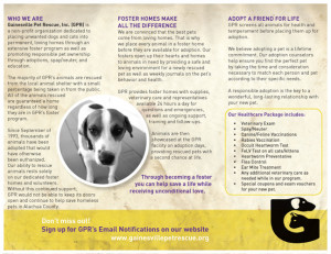 ... Pictures with geometric elements and quotes typographic text