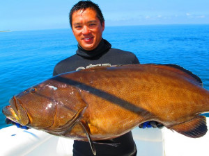 Brilliant-colored rockfish. These images were provided by the Bahamas ...