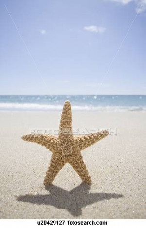 Starfish friend.