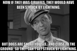 andy griffith