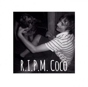 RIPM COCO D: If u haven't heard ASFjerome's dog coco died on his ...