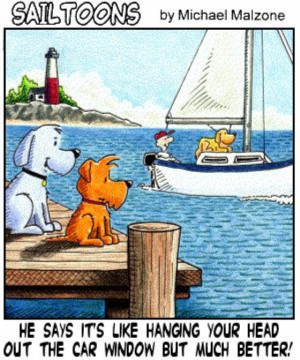 little boating humor (11 photos) CLICK HERE